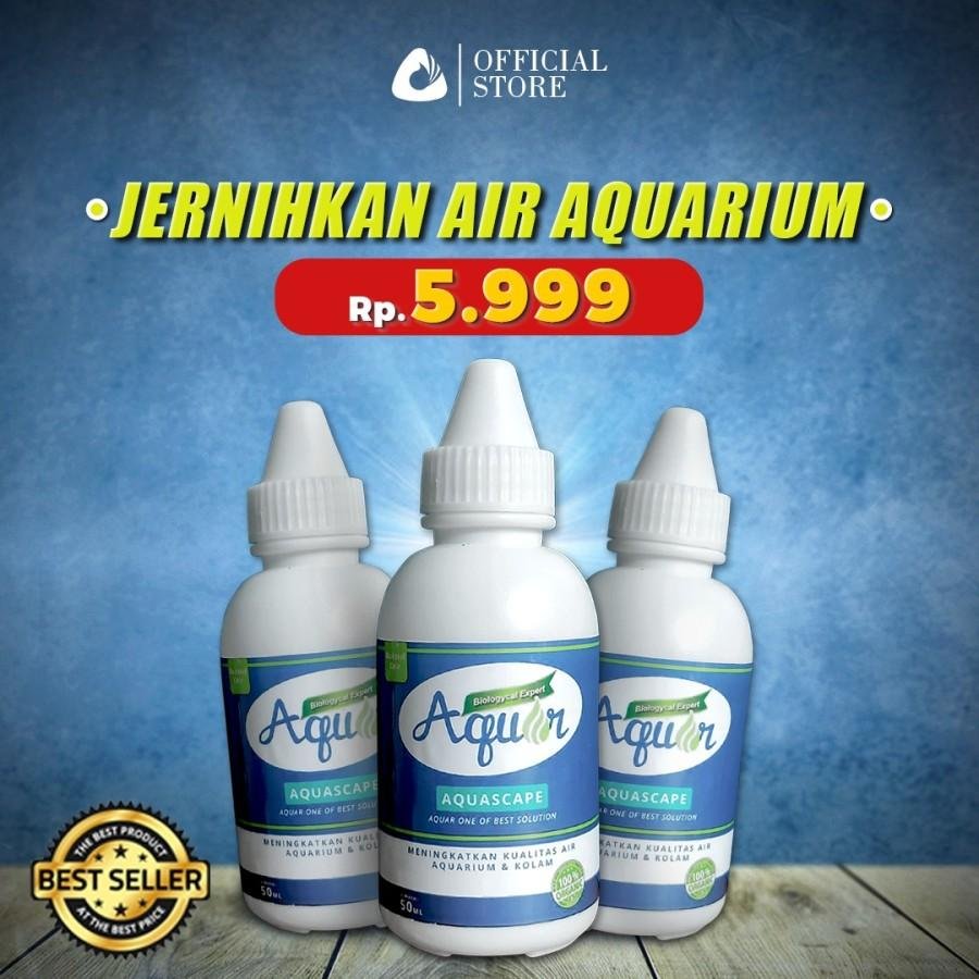 Bakteri Aquarium Aquascape