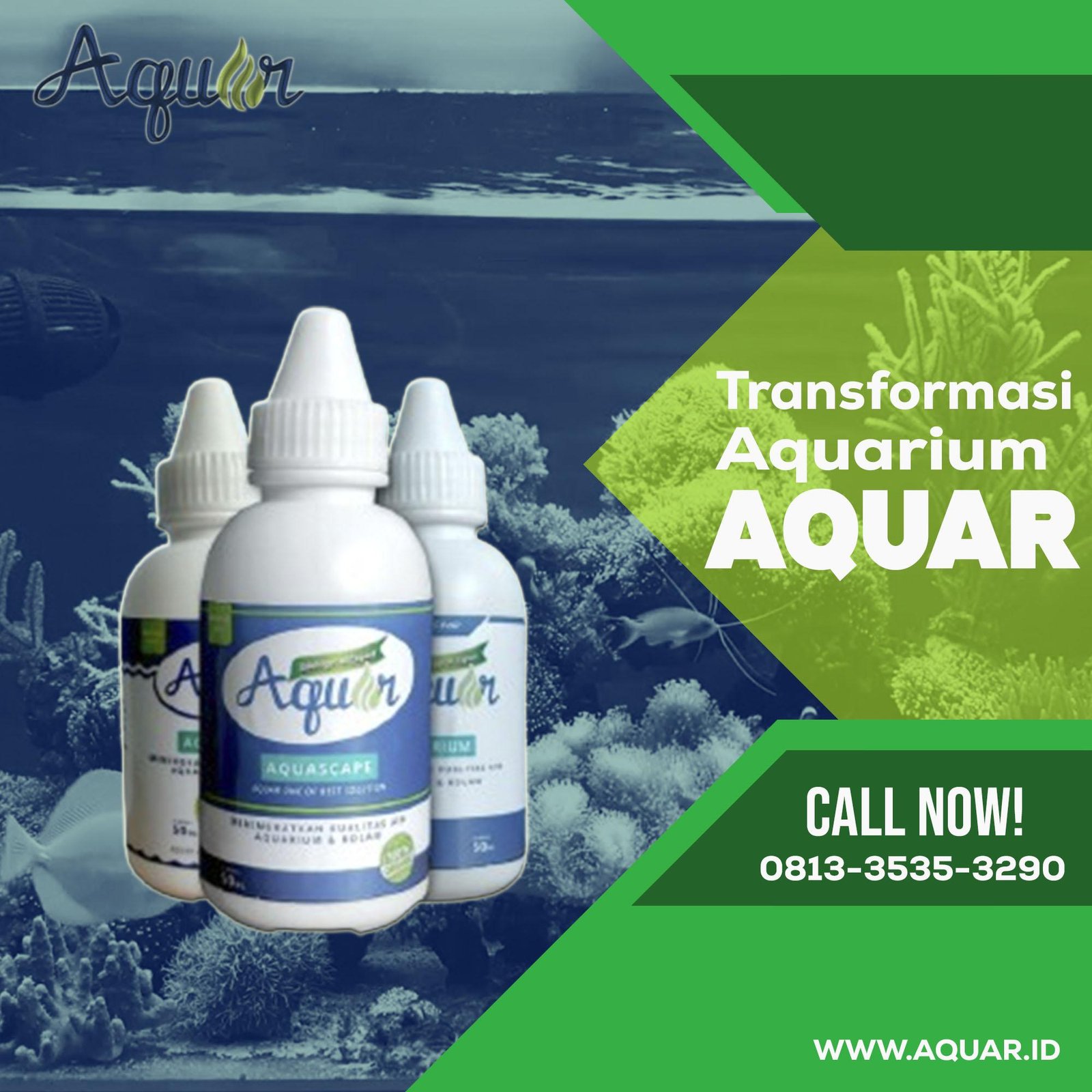 Fungsi Aquar Aquascape Akuarium