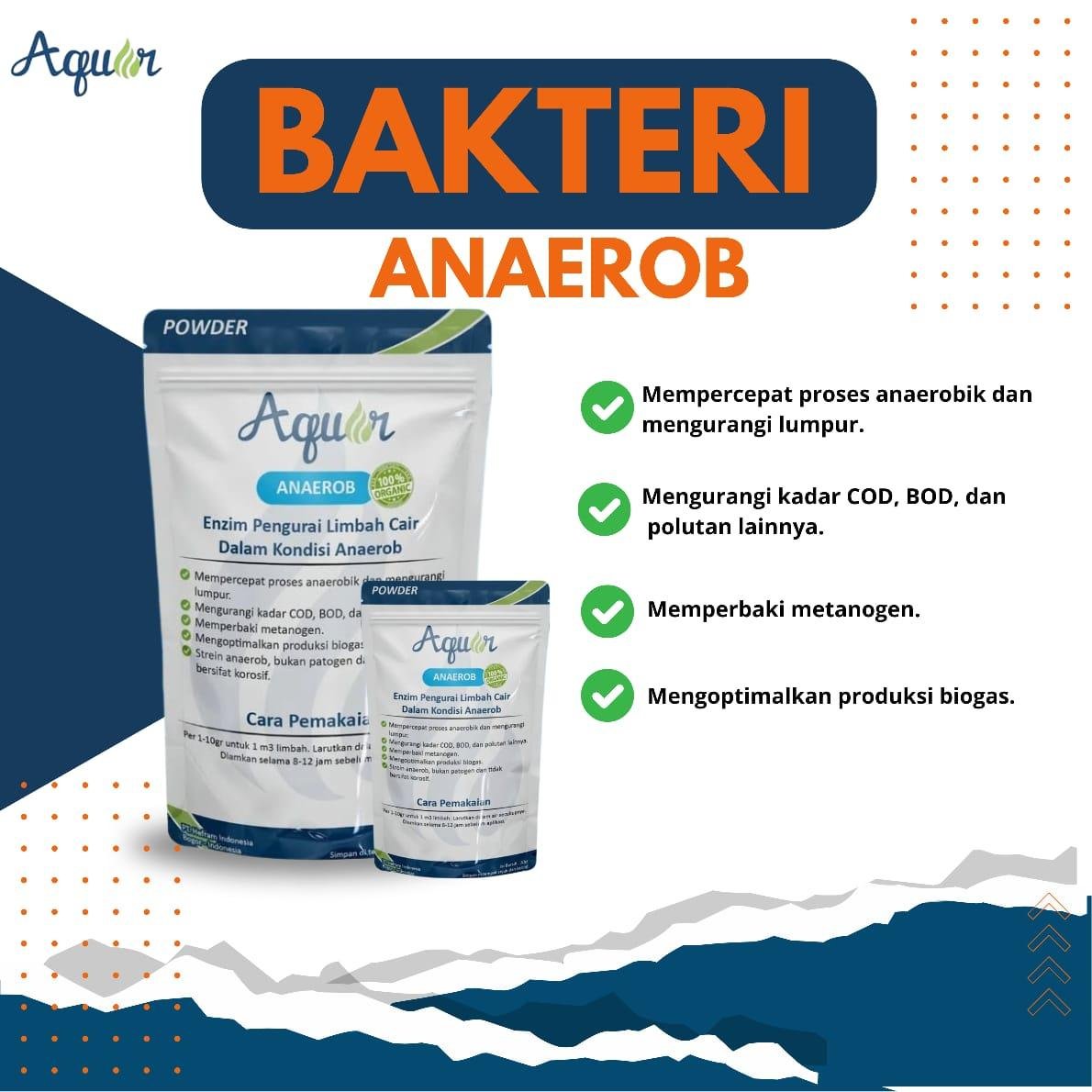 Rawat Ikan Dengan Aquar Aquarium