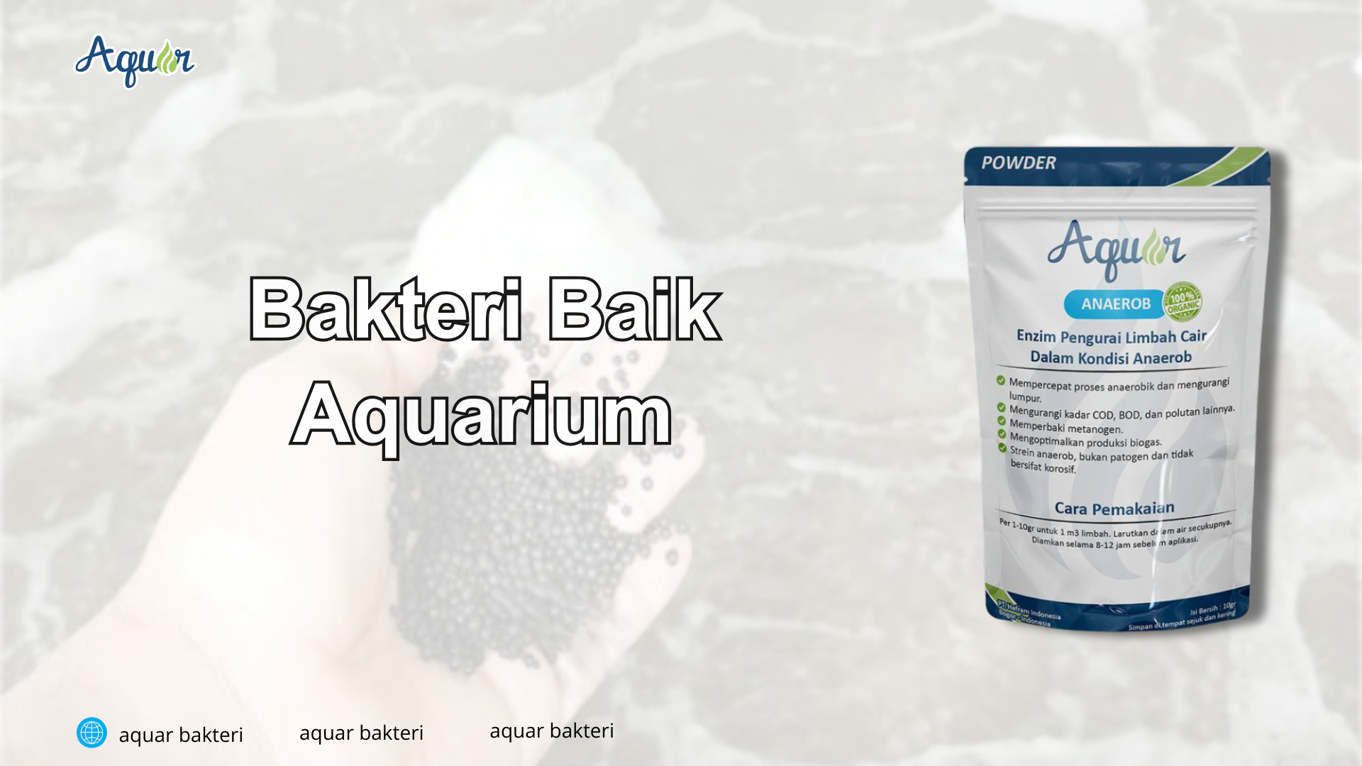 Bakteri Baik Aquarium