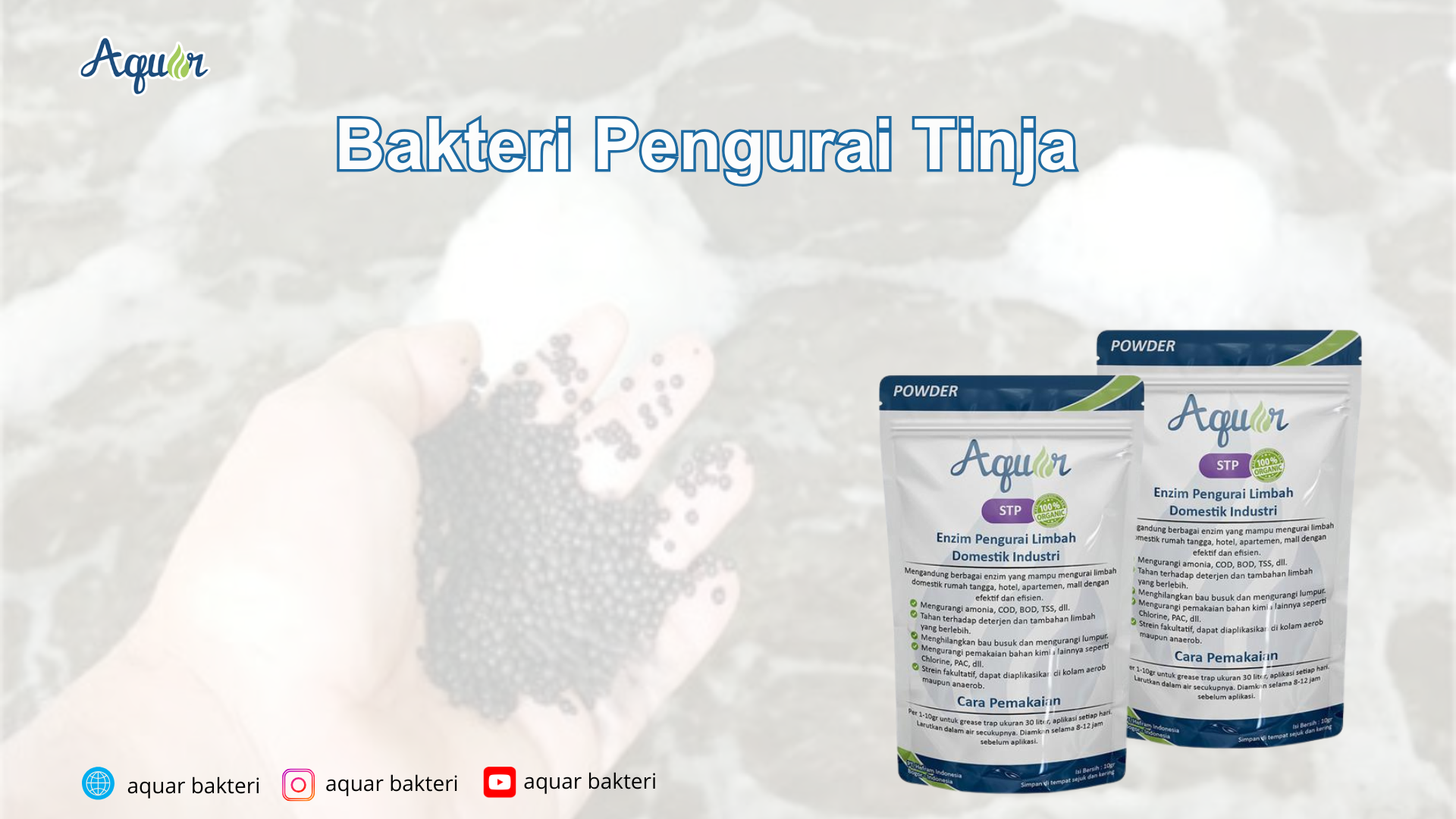 Bakteri Pengurai Tinja