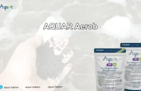 Bakteri Pengurai Wc
