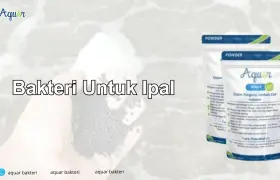 Bakteri Untuk Ipal