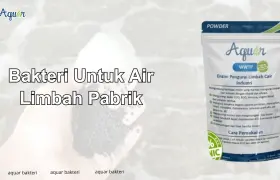Bakteri Untuk Air Limbah Pabrik Pelastik