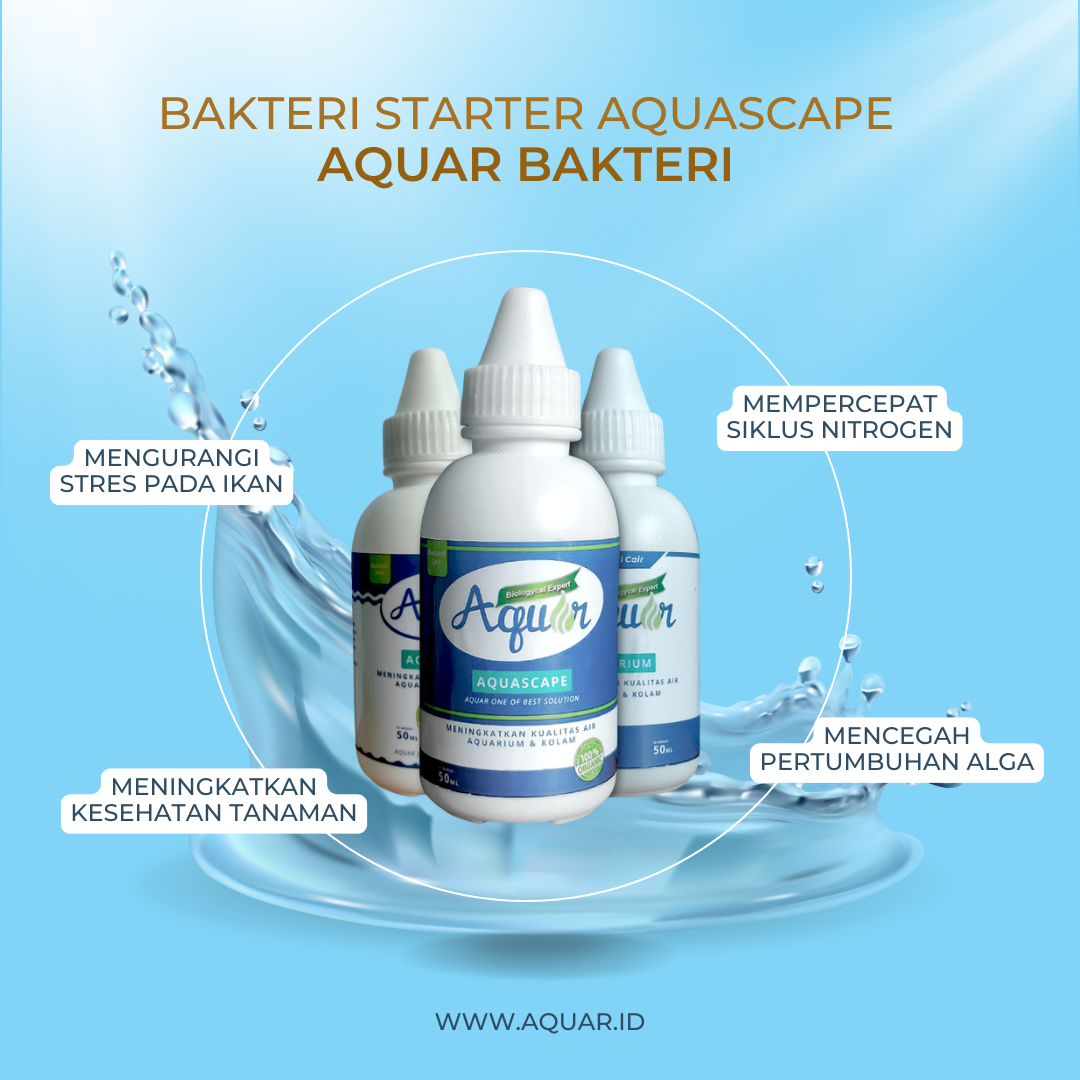 Aquar Bakteri Starter Aquascape