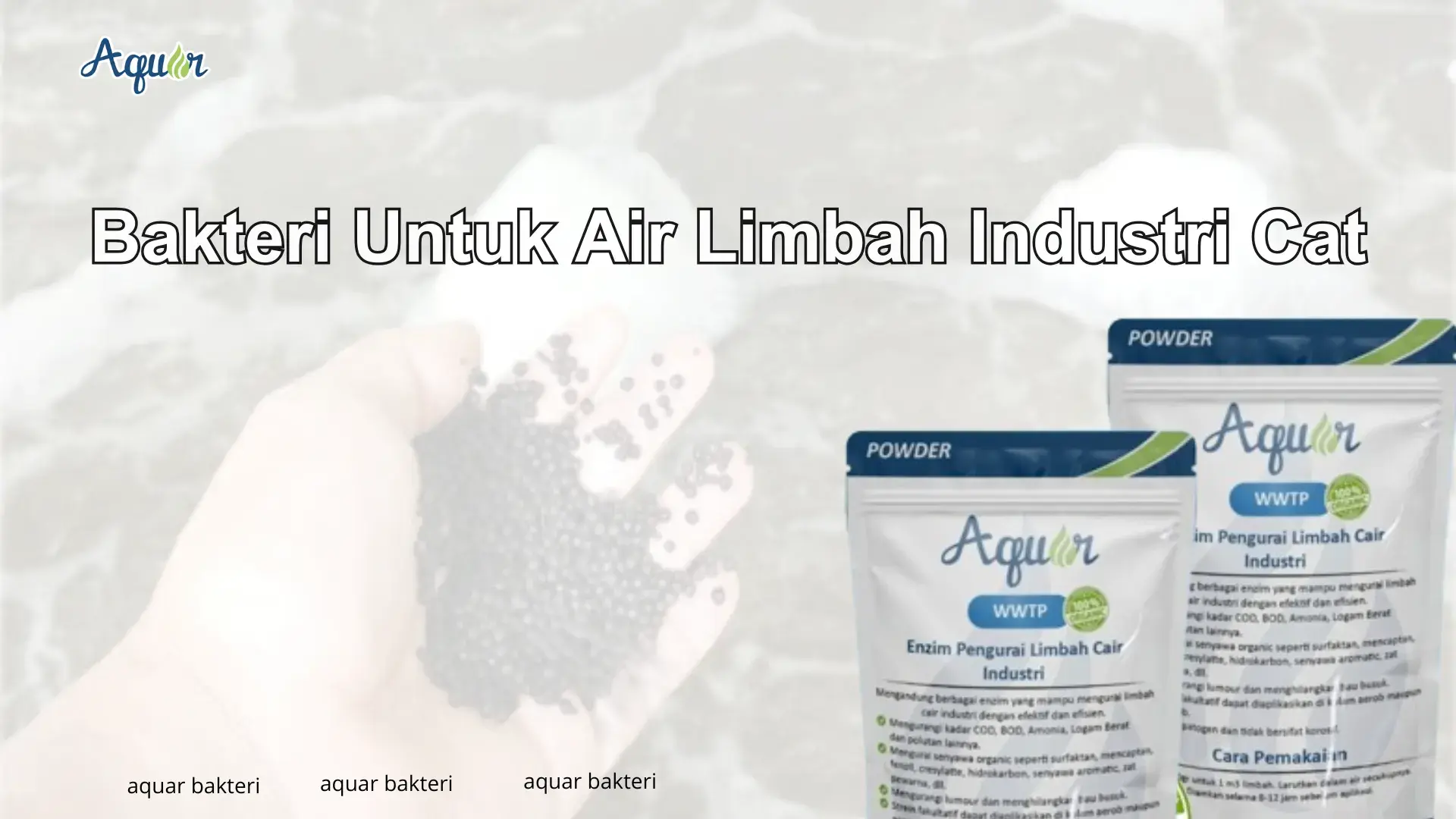 Bakteri Untuk Air Limbah Industri Cat