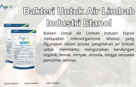 Bakteri Untuk Air Limbah Industri Etanol
