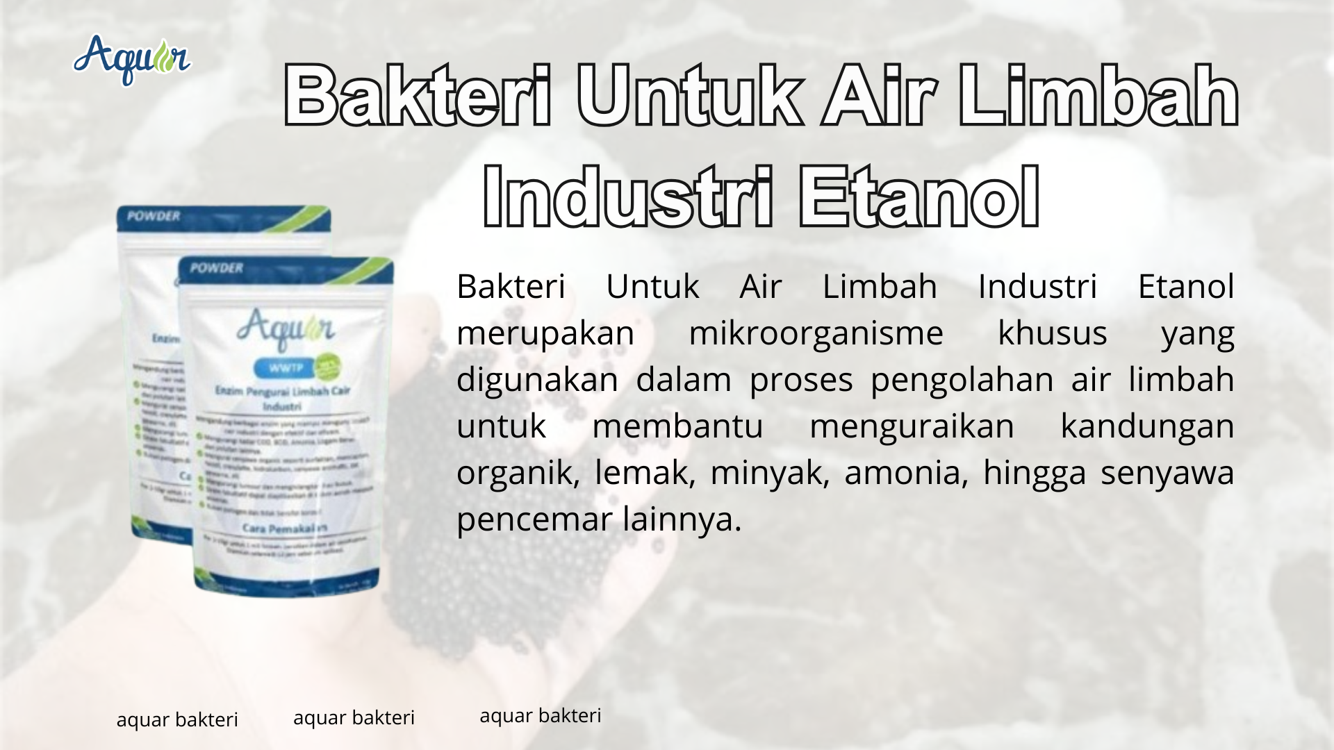 Bakteri Untuk Air Limbah Industri Etanol