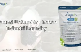 Bakteri Untuk Air Limbah Industri Laundry