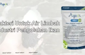 Bakteri Untuk Air Limbah Industri Pengolahan Ikan