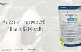 Bakteri untuk Air Limbah Sawit
