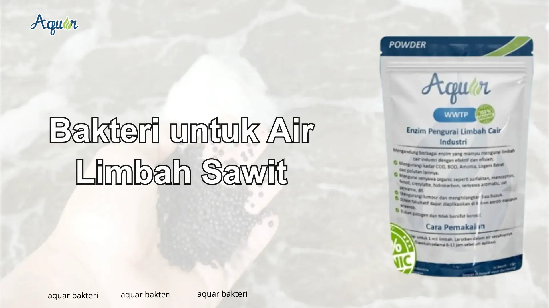 Bakteri untuk Air Limbah Sawit