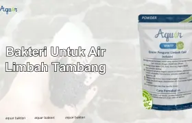 Bakteri Untuk Air Limbah Tambang