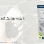 Jual Bakteri Anaerob