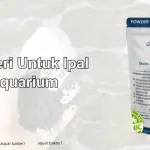 Bakteri Untuk Ipal Aquarium