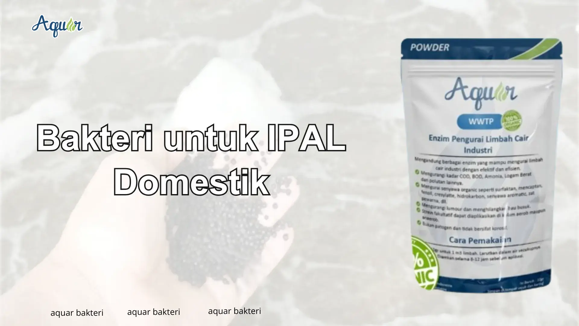 Bakteri untuk IPAL Domestik