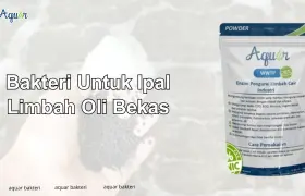 Bakteri Untuk Ipal Limbah Oli Bekas