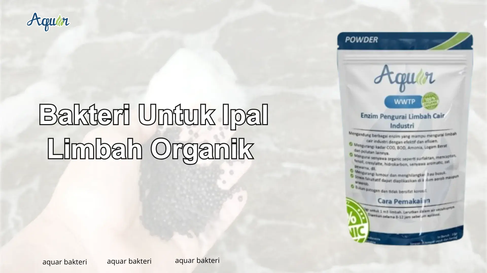 Bakteri Untuk Limbah Organik