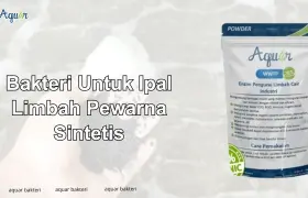 Bakteri Untuk Ipal Limbah  Pewarna Sintetis