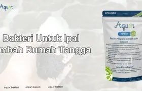 Bakteri Untuk Ipal Limbah Rumah Tangga