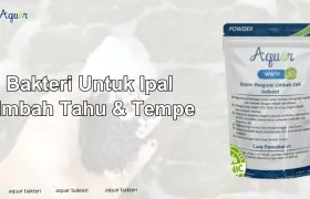 Bakteri Untuk Ipal Limbah Tahu Dan Tempe