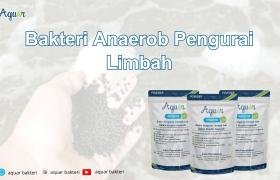 Bakteri Anaerob Pengurai Limbah
