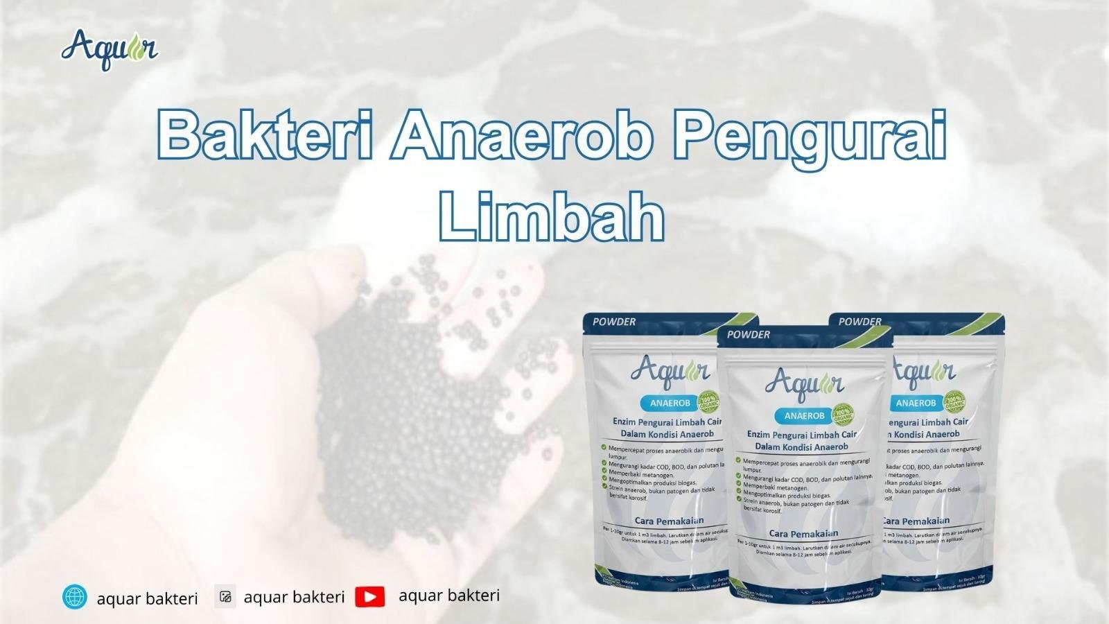 Bakteri Anaerob Pengurai Limbah
