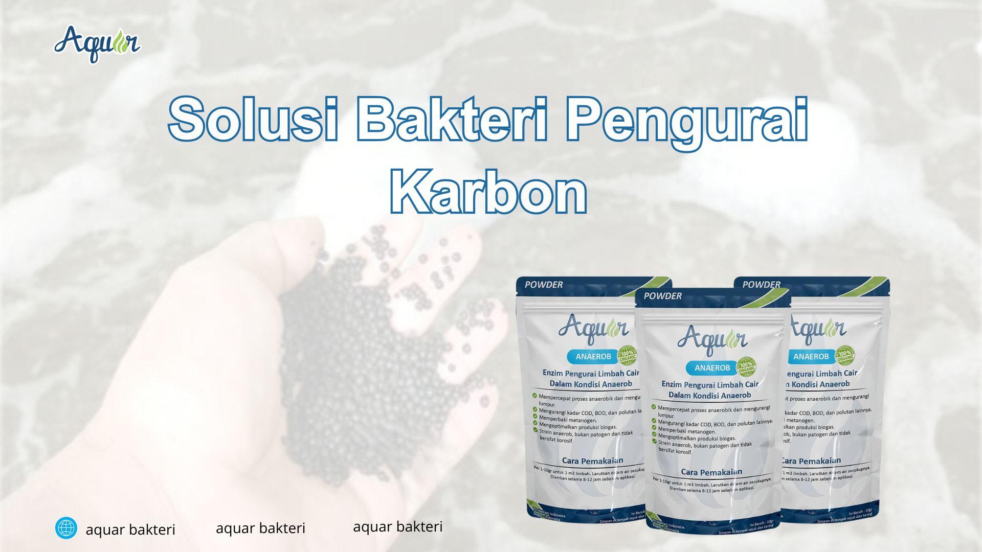 Solusi Bakteri Pengurai Karbon