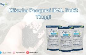 Mikroba Pengurai IPAL Bukit Tinggi