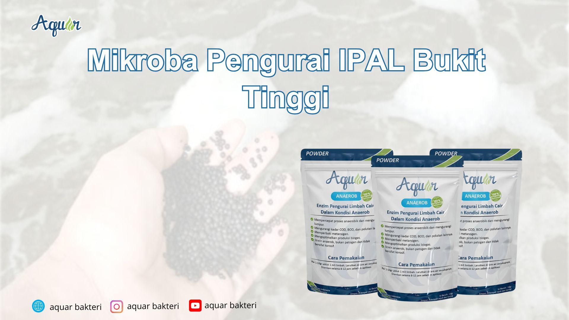 Mikroba Pengurai IPAL Bukit Tinggi