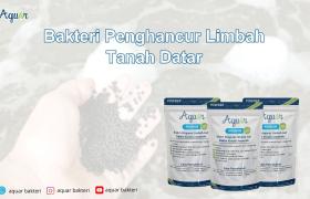 Bakteri Penghancur Limbah Tanah Datar