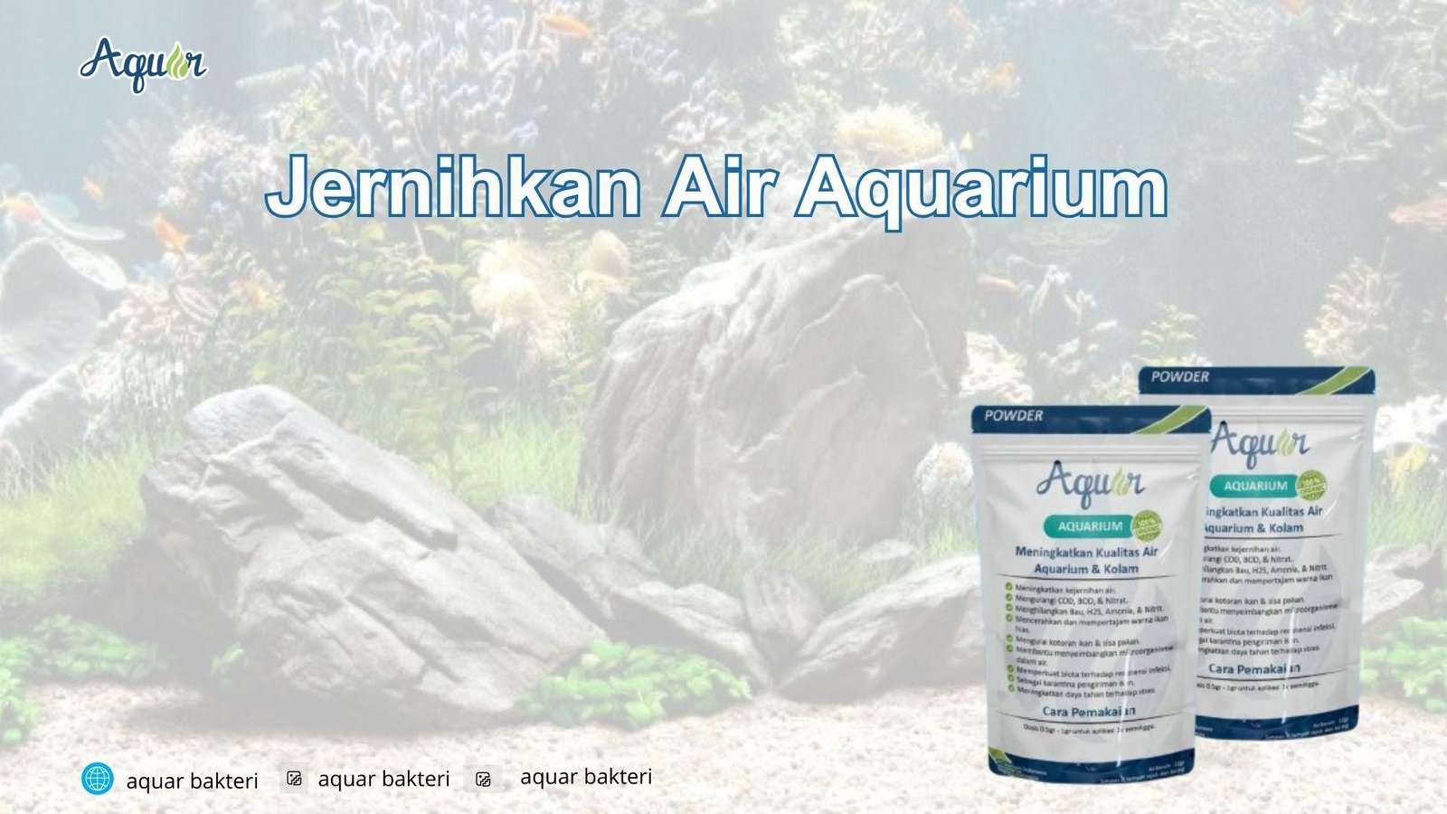 Jernihkan Air Aquarium