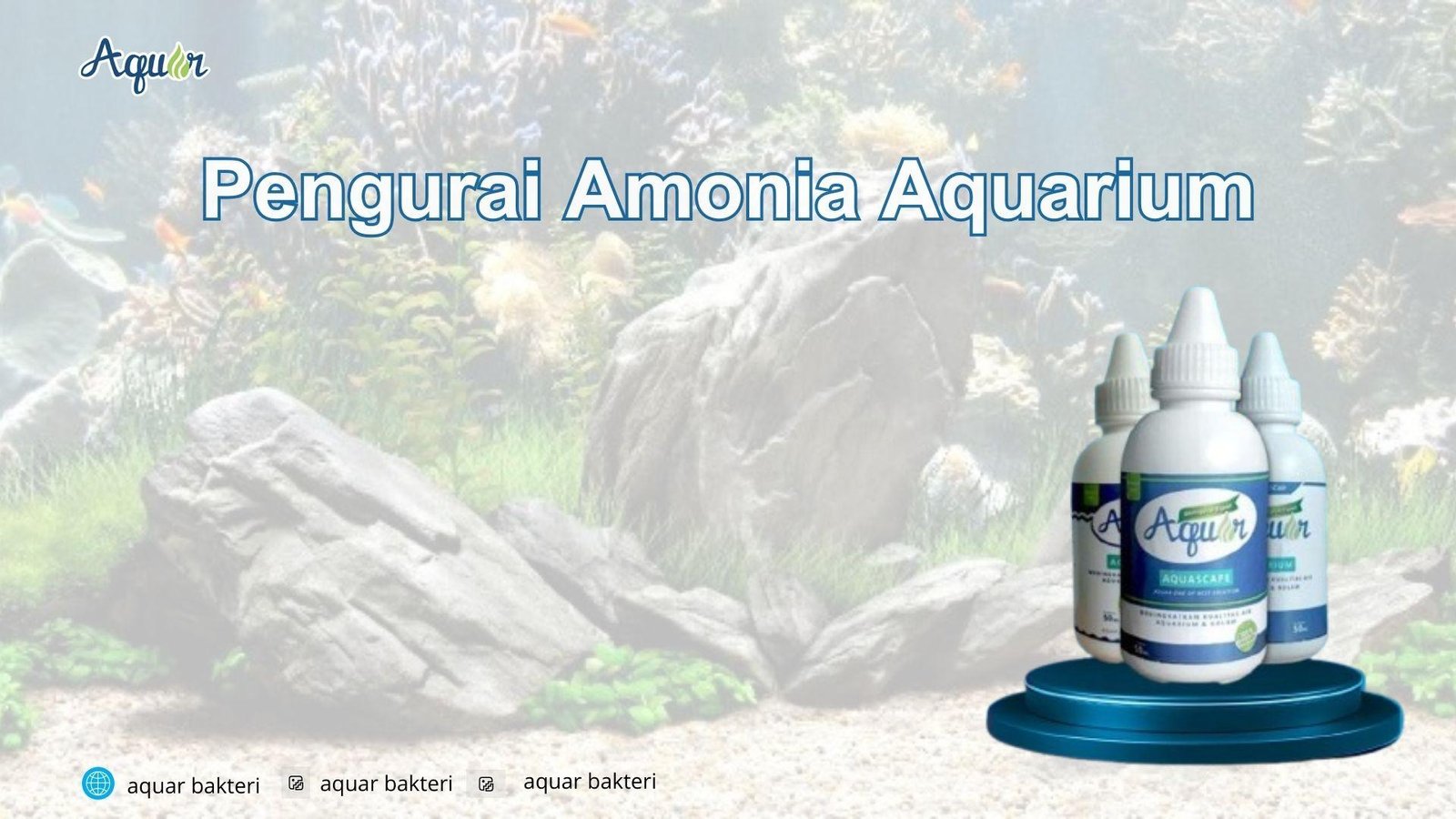 Pengurai Amonia Aquarium