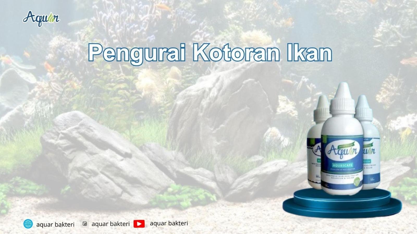 Pengurai Kotoran Ikan