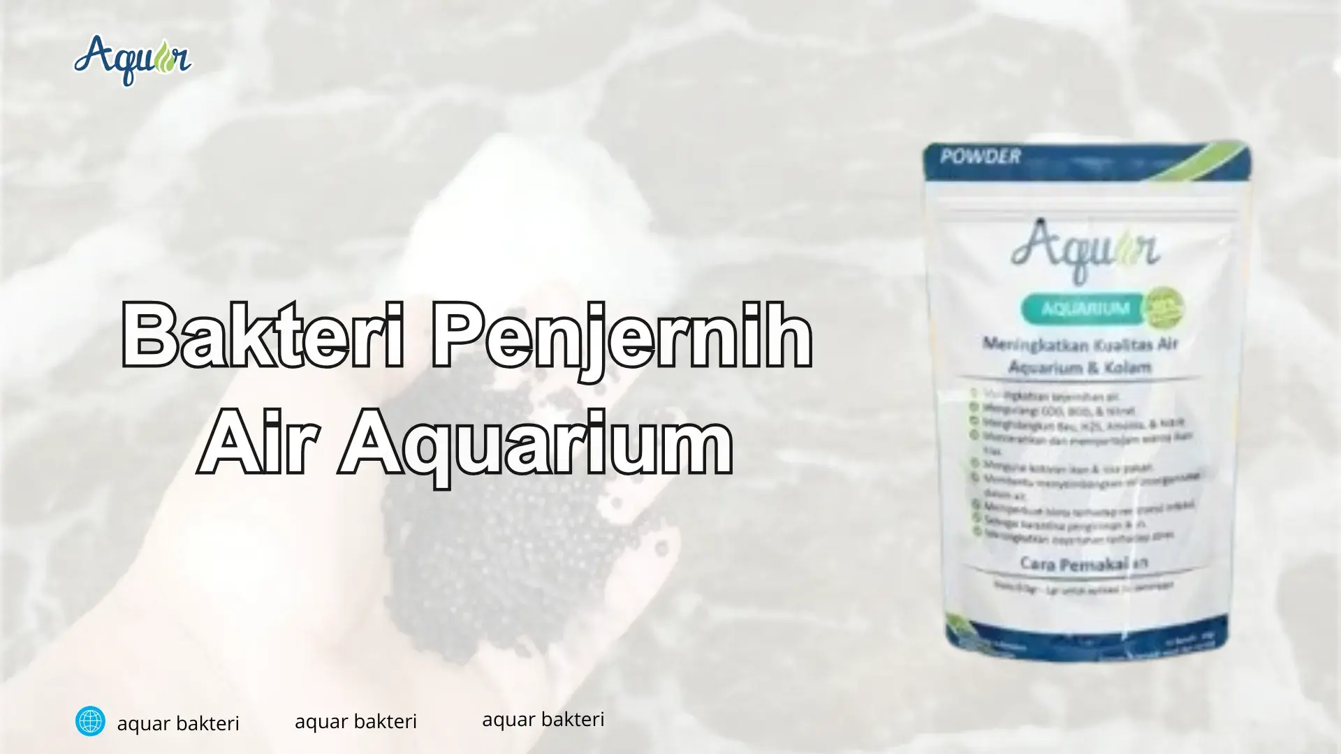 Bakteri Penjernih Air Aquarium