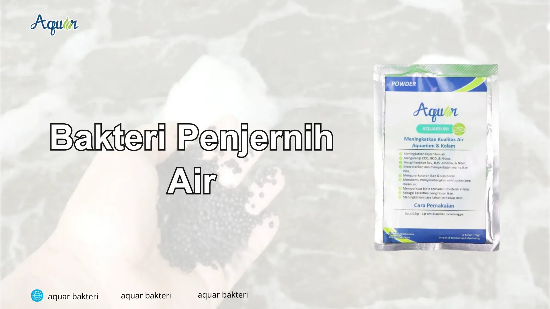 Bakteri Penjernih Air