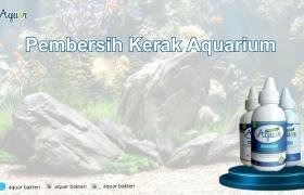 Bersihkan Kerak Aquarium