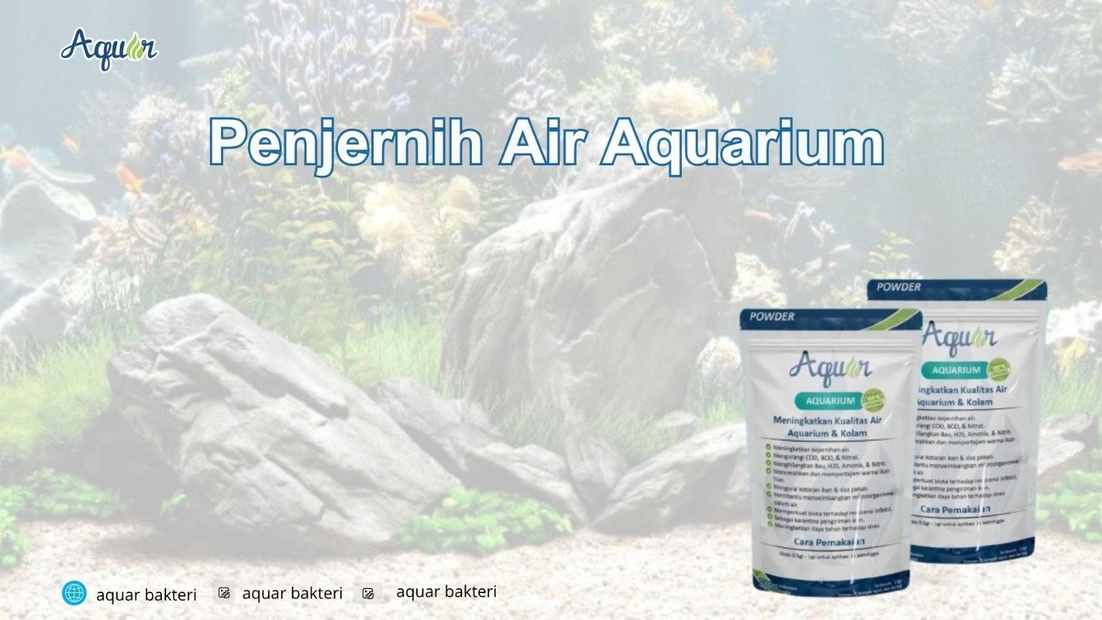 Penjernih Air Aquarium