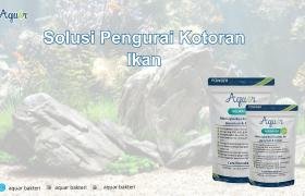 Solusi Pengurai Kotoran Ikan