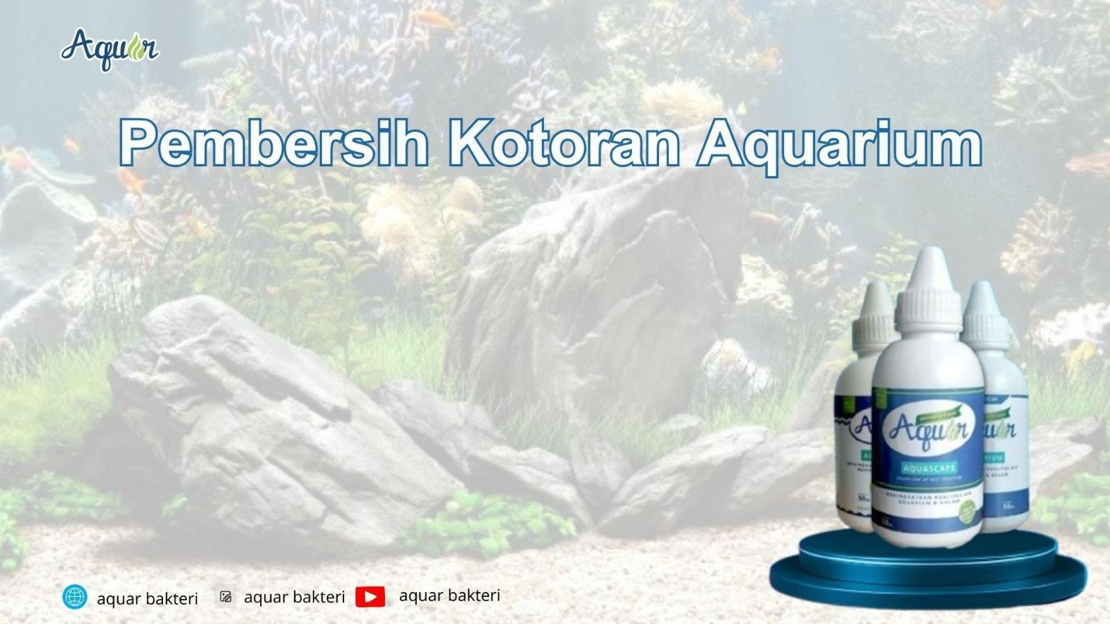 Pembersih Kotoran Aquarium