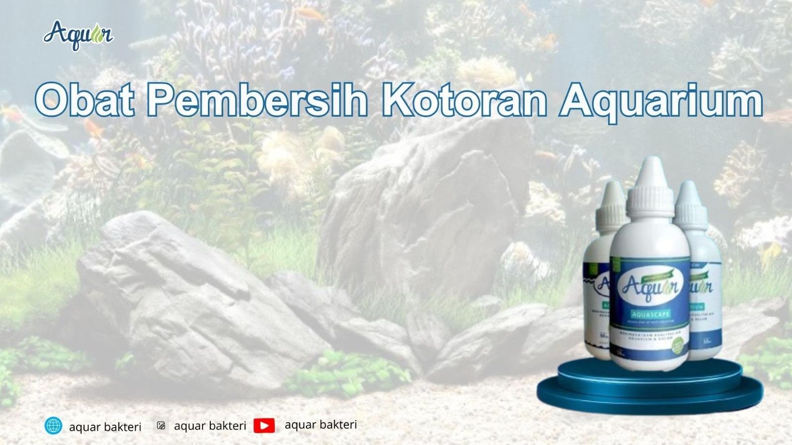 Obat Pembersih Kotoran Aquarium