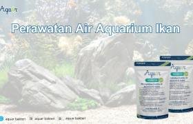 Perawatan Air Aquarium Ikan