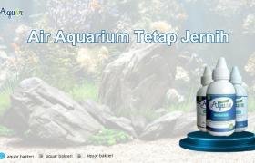 Air Aquarium Tetap Jernih