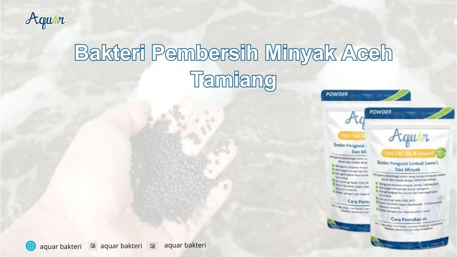 Bakteri Pembersih Minyak Aceh Tamiang