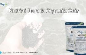 Nutrisi Pupuk Organik Cair