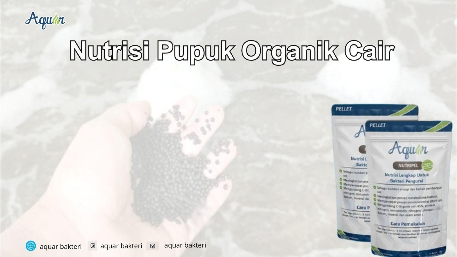 Nutrisi Pupuk Organik Cair