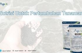 Nutrisi Untuk Pertumbuhan Tanaman