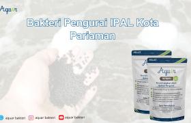 Bakteri Pengurai IPAL Kota Pariaman