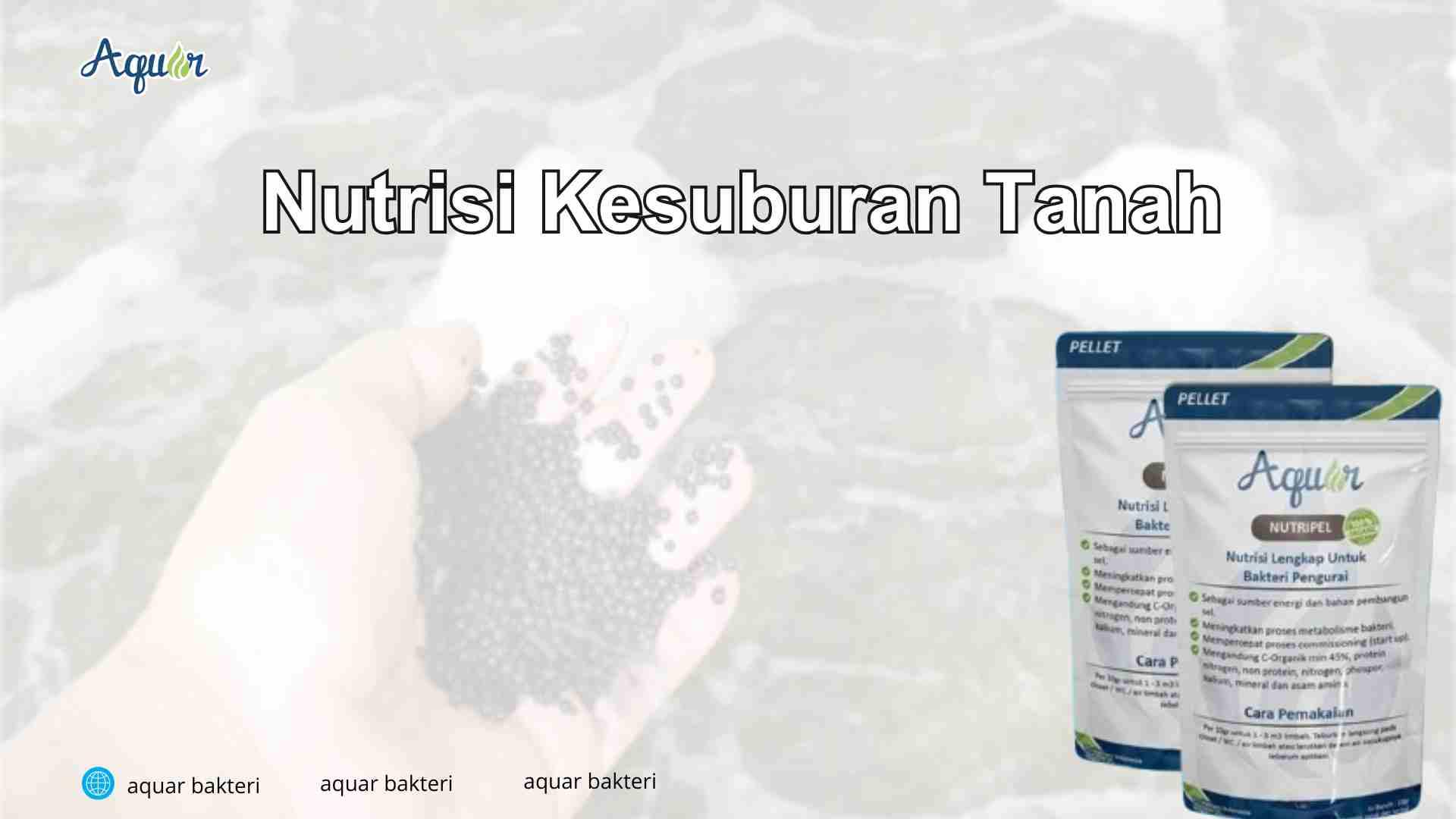 Nutrisi Kesuburan Tanah