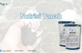 Nutrisi Tanah